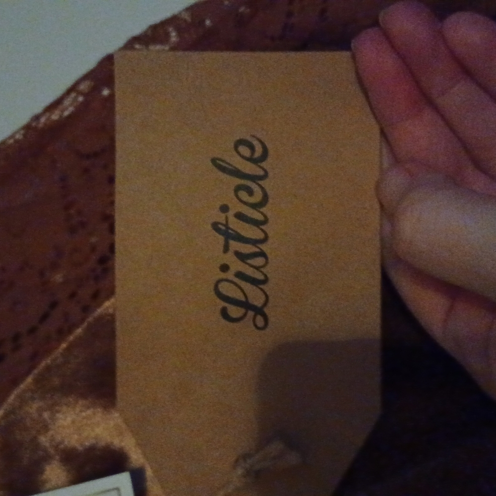 Velvet long sleeved lace sleeves.  The color is brick. - Picture 8 of 9